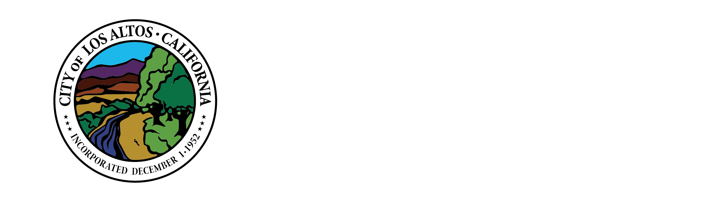 Professional headshot session in Los Altos, California