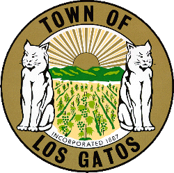 Professional headshot session in Los Gatos, California