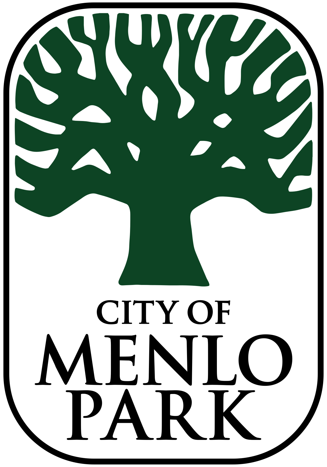 Professional headshot session in Menlo Park, California