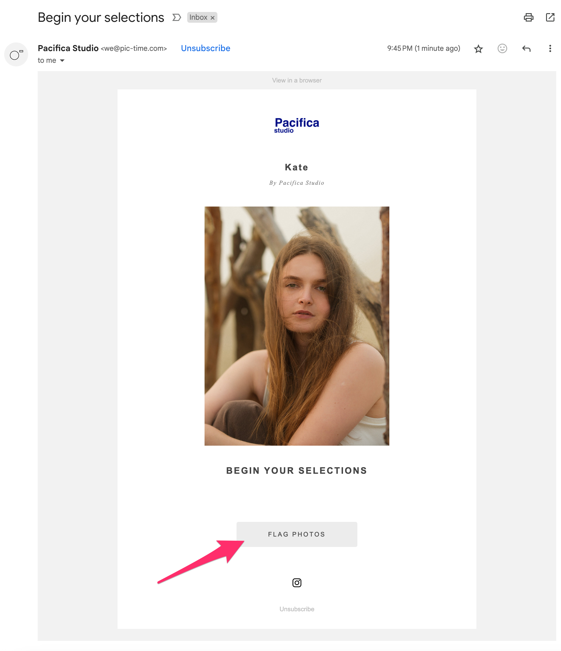 Selection email with the Flag Photos button highlighted Selection email with the Flag Photos button highlighted