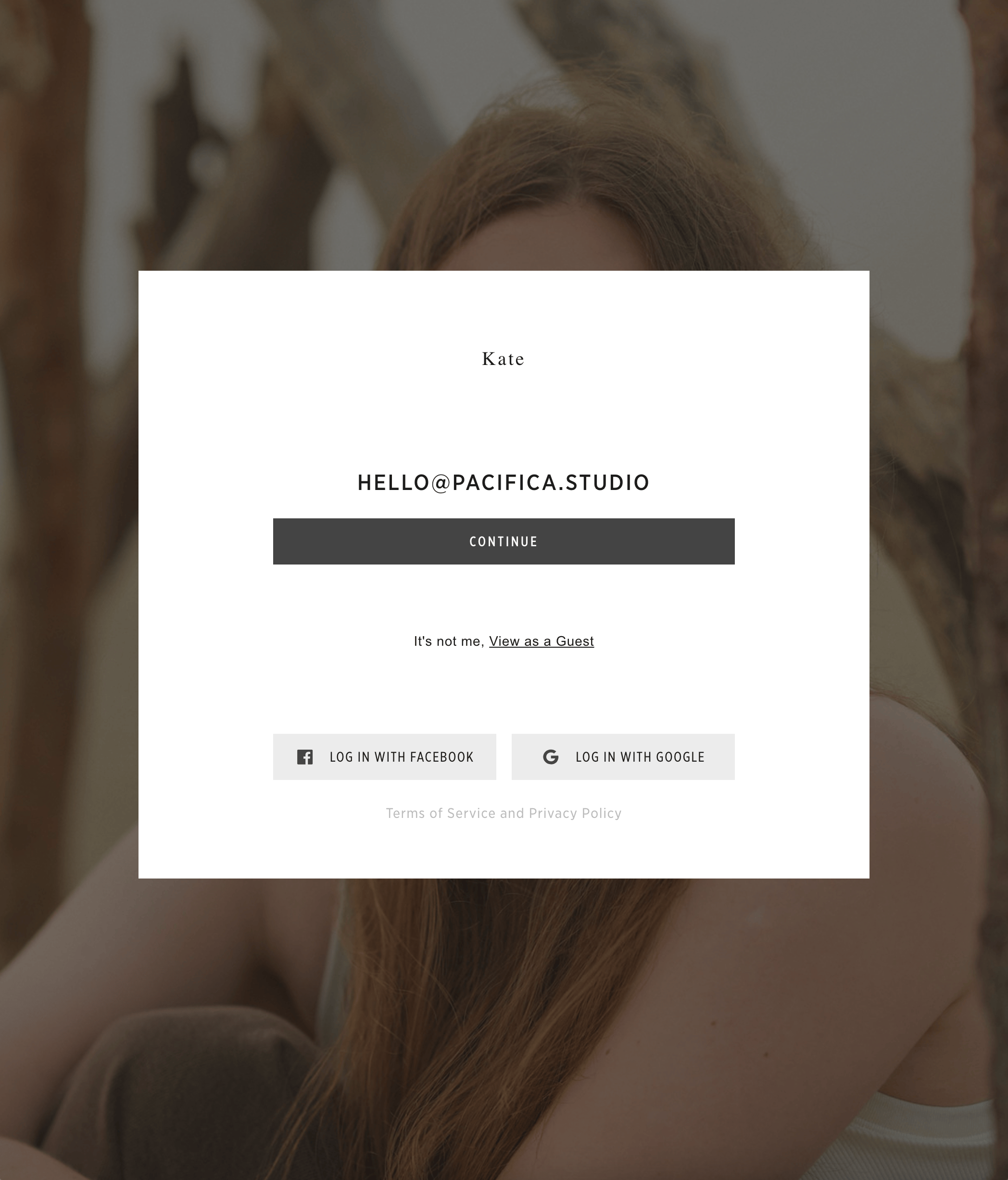 Gallery sign-in screen asking for the client email address