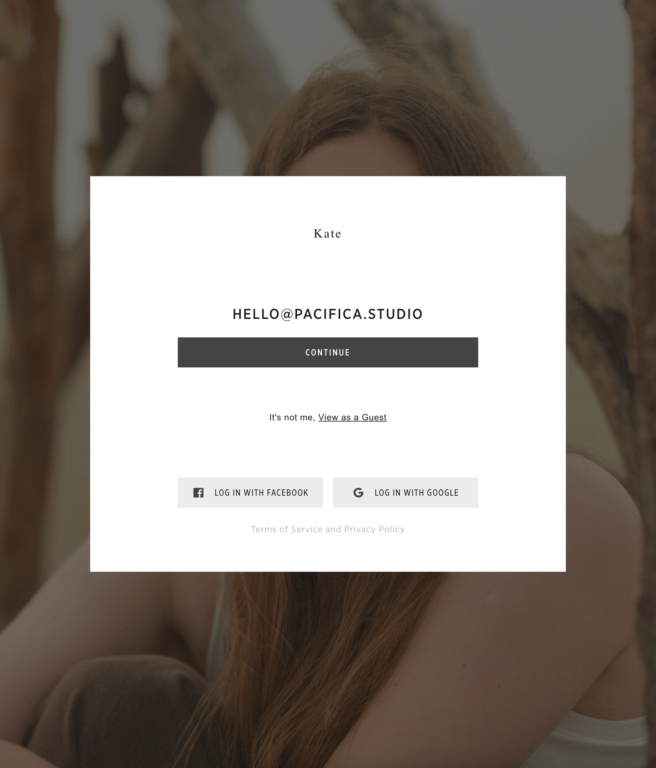 Gallery sign-in screen asking for the client email address