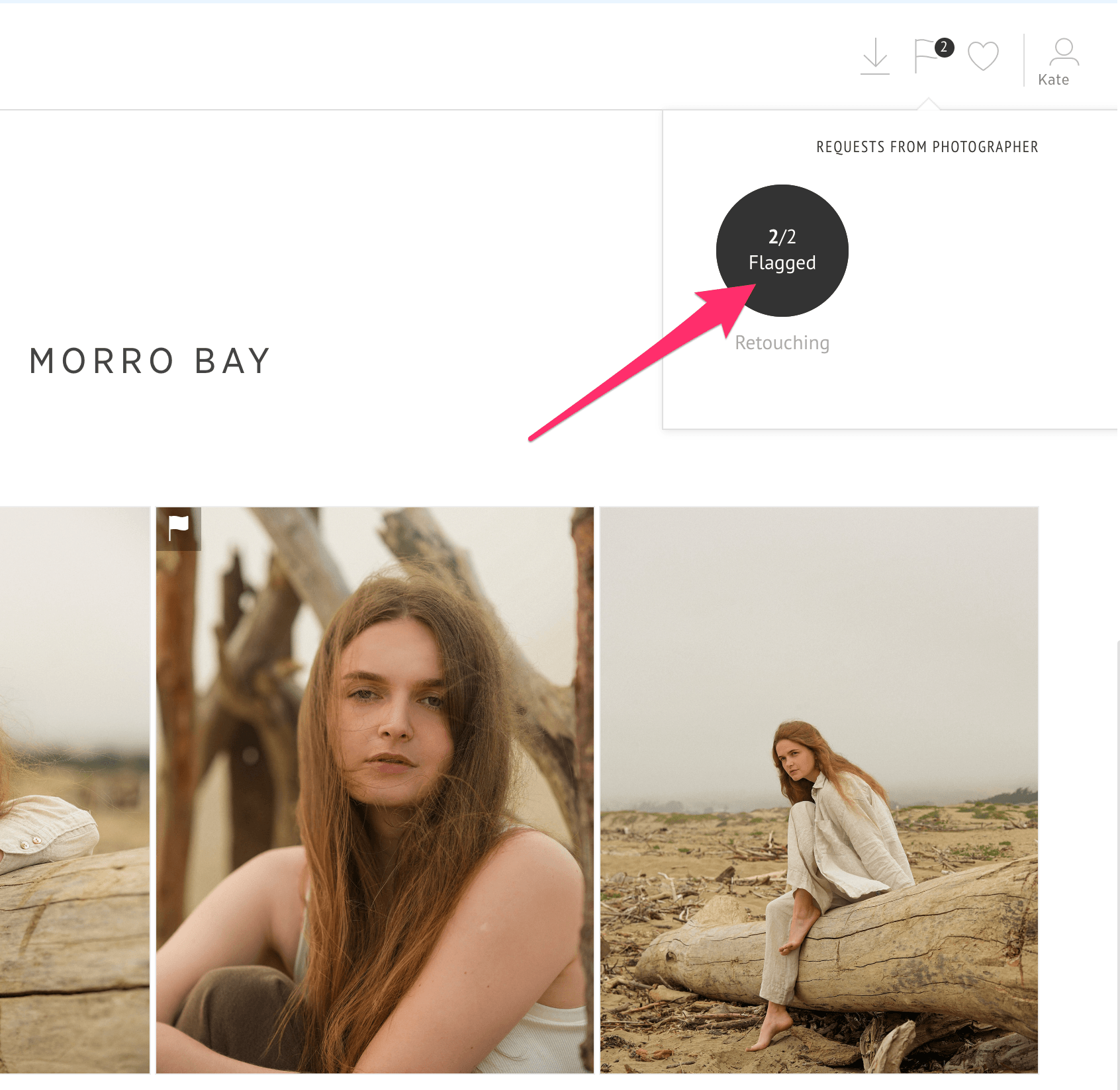 Gallery banner in the top right showing the flagged-photo counter