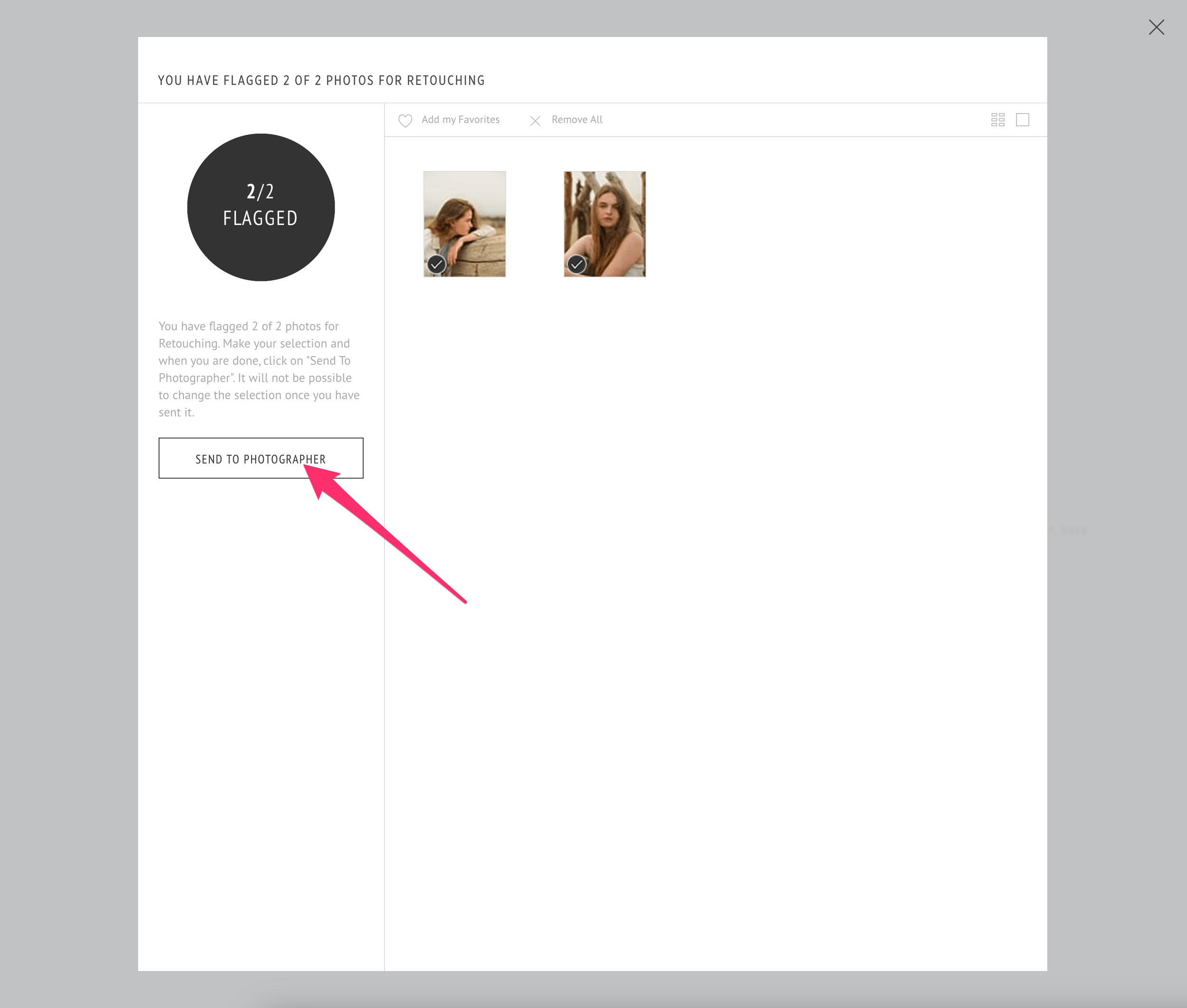 Final review screen with the Send to Photographer button